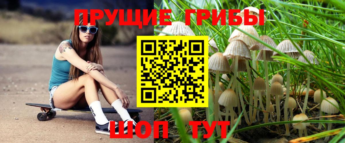 Псилоцибиновые грибы Cubensis  Вход с VPN  Галлюциногенные грибы мухоморы  Коркино 